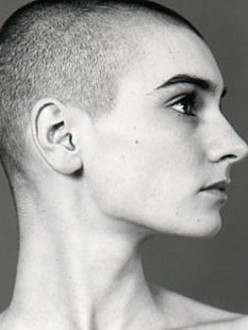 bald